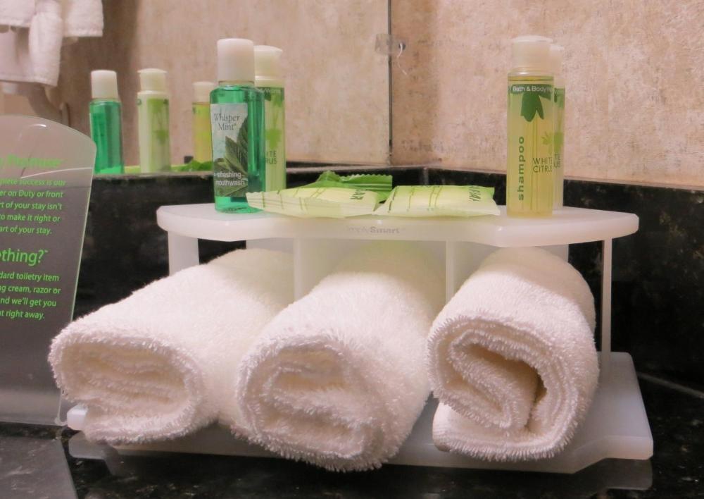 Holiday Inn Express Hotel & Suites East Lansing by IHG